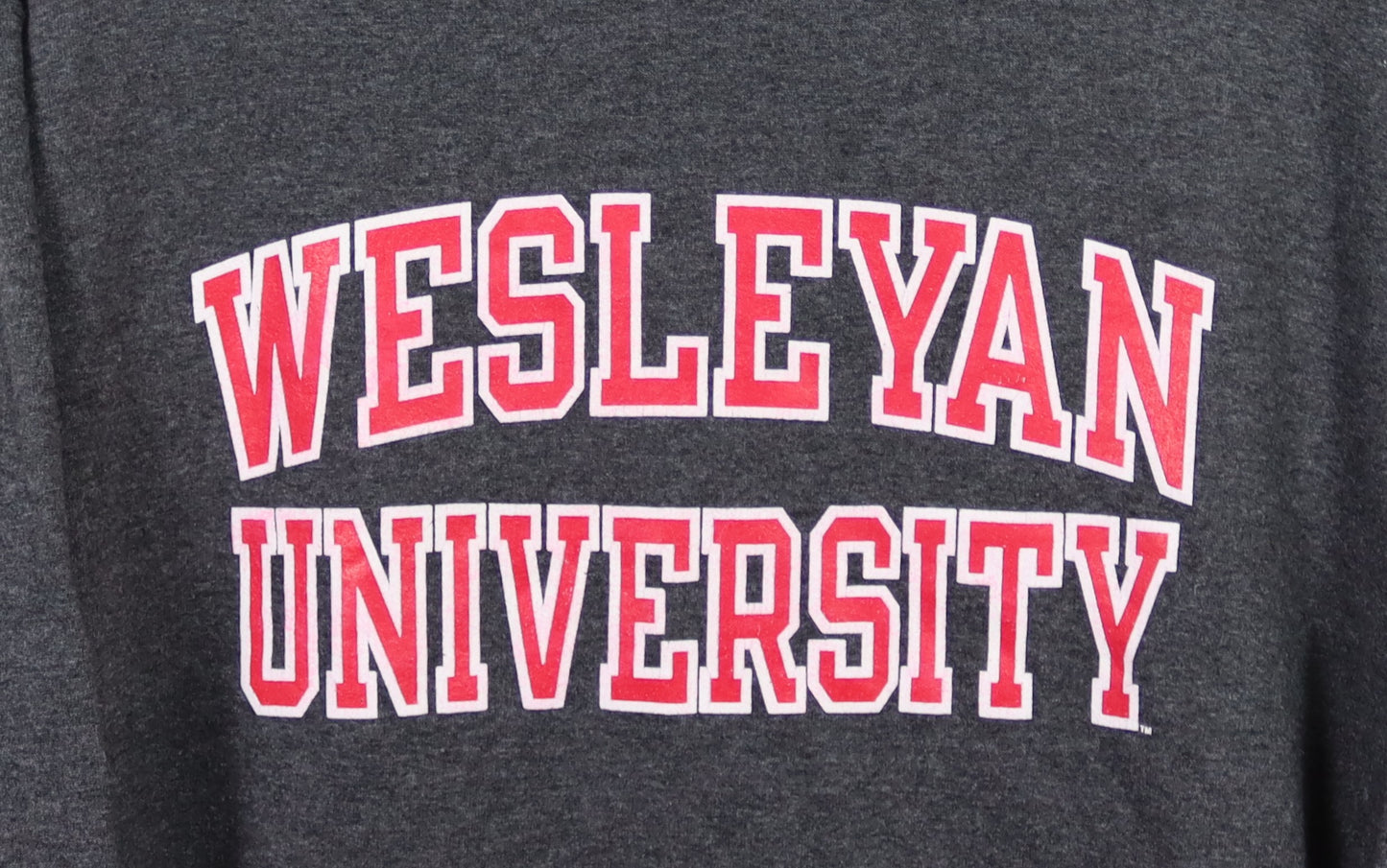 CHAMPION WESLEYAN UNI HOODIE M