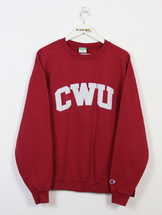 CHAMPION CWU SWEATER L